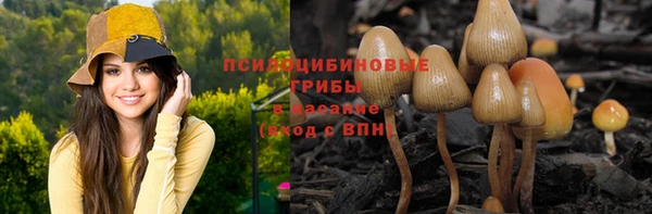 стаф Дмитровск