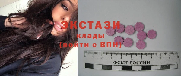 стаф Дмитровск