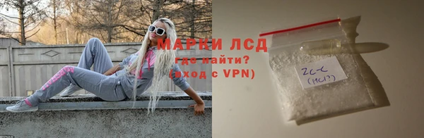 ПСИЛОЦИБИНОВЫЕ ГРИБЫ Дмитриев