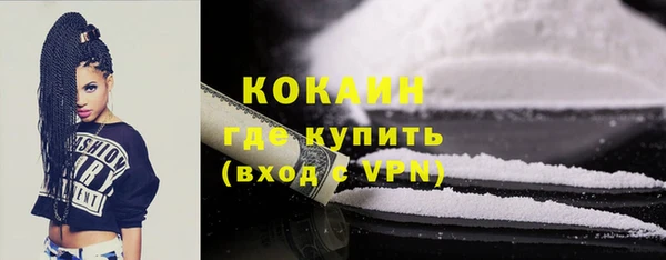 стаф Дмитровск