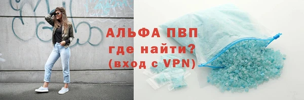 стаф Дмитровск