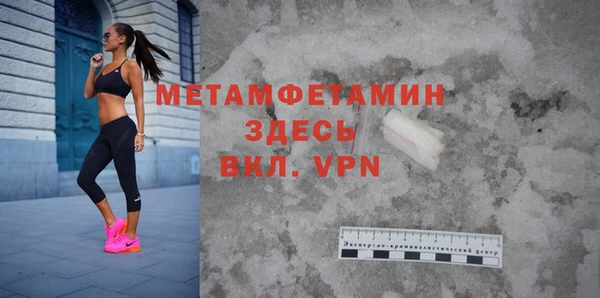 ПСИЛОЦИБИНОВЫЕ ГРИБЫ Дмитриев